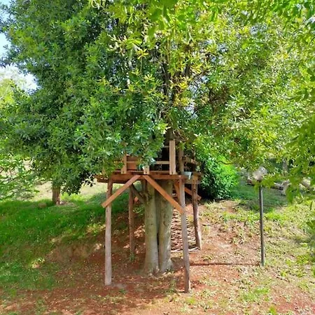 Casale Del Pino Narni *