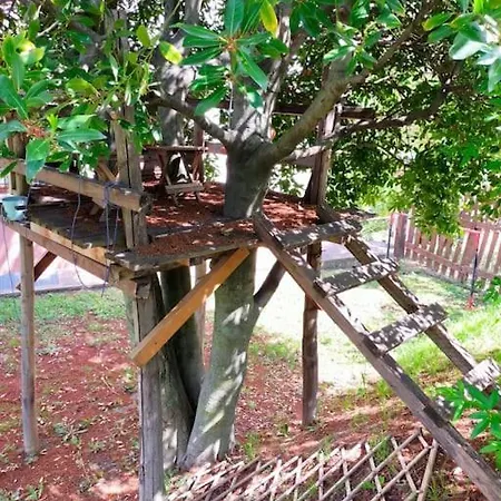 Vakantiehuis Casale Del Pino Narni Vigne